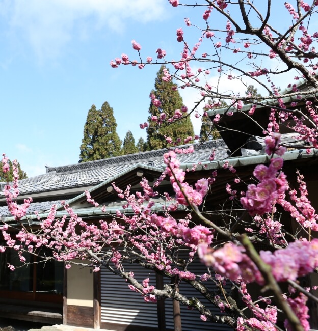 しょうざんリゾート京都「峰玉亭」